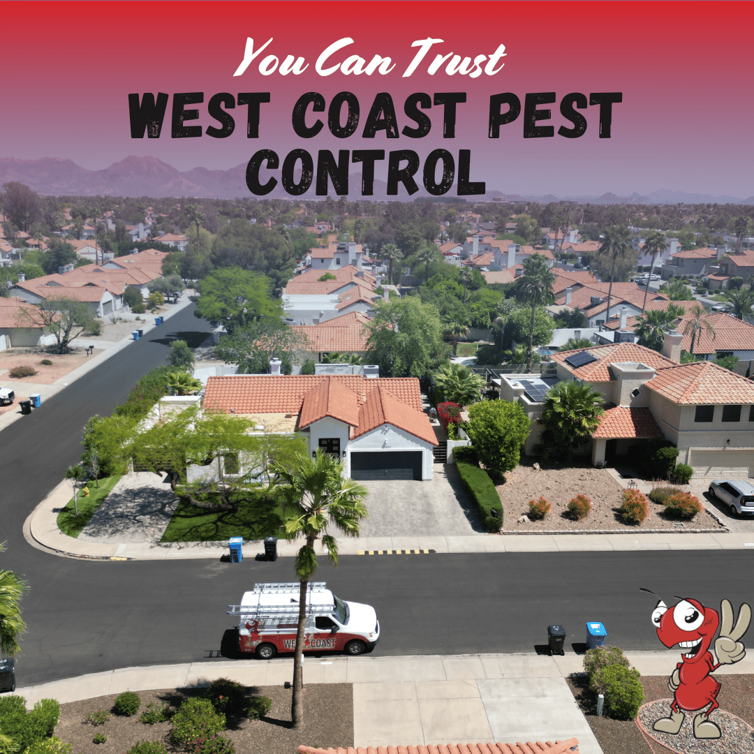 West Coast pest COntrol-10